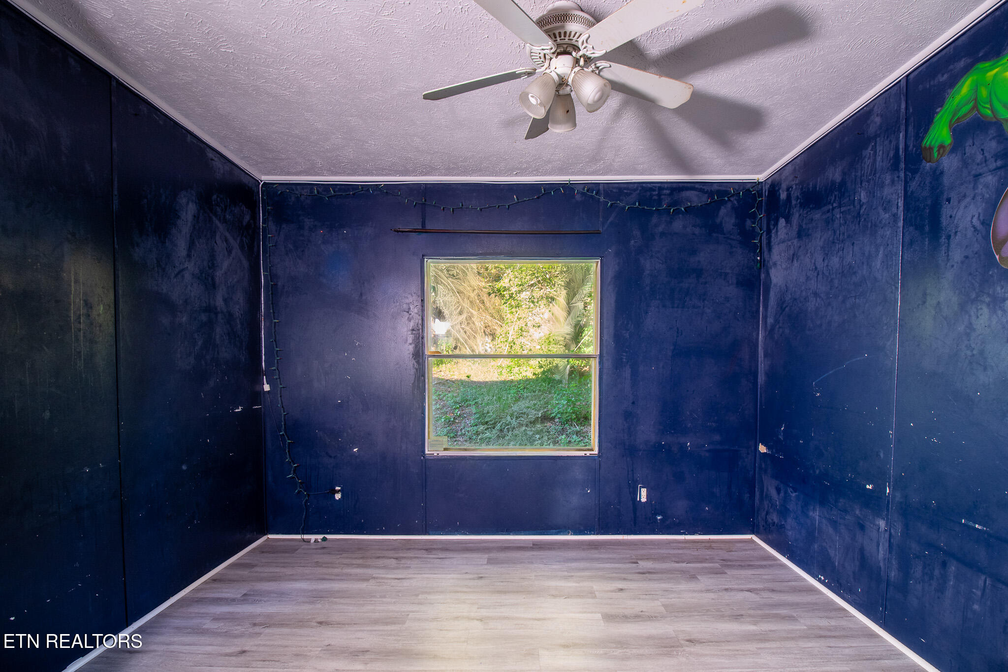 175 Collins Road Oliver Springs, TN 37840 - Photo 20 of 25 _MG_2709-HDR