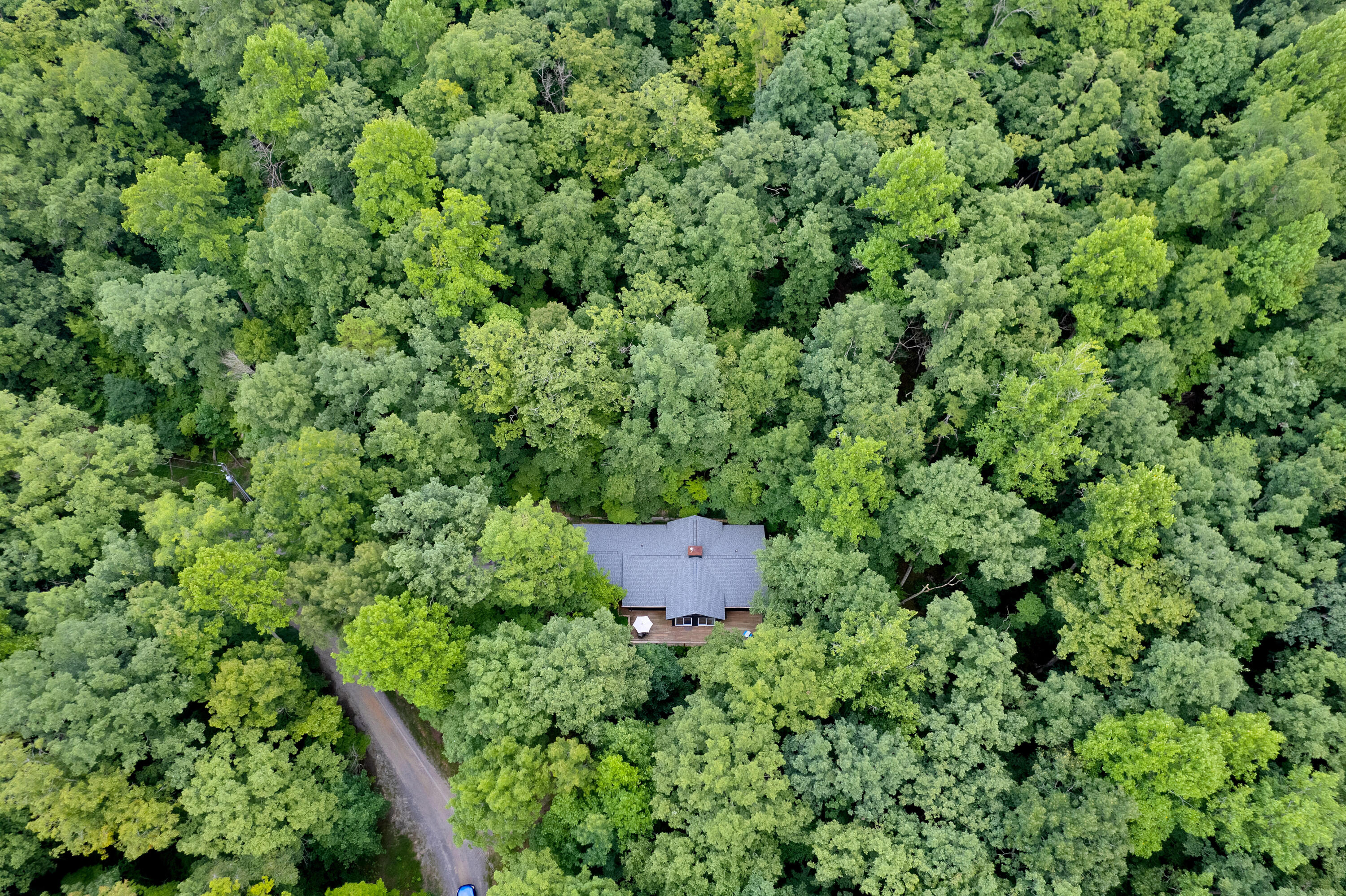 505 Stone Creek Road Rising Fawn, GA 30738 - Photo 3 of 46 505-Stone-Creek-Rd-High-Res-Photos-3