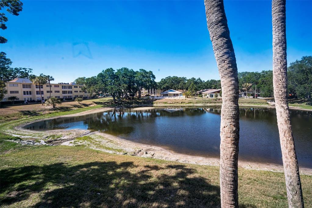 936 Virginia Street, Unit 201 Dunedin, FL 34698 - Photo 24 of 43