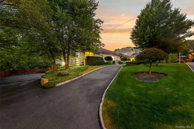 a view of a park with large trees