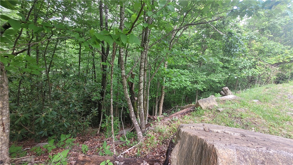 425 Pinnacle Ridge Road Beech Mountain, NC 28604 - Photo 11 of 14 a view of backyard with green space