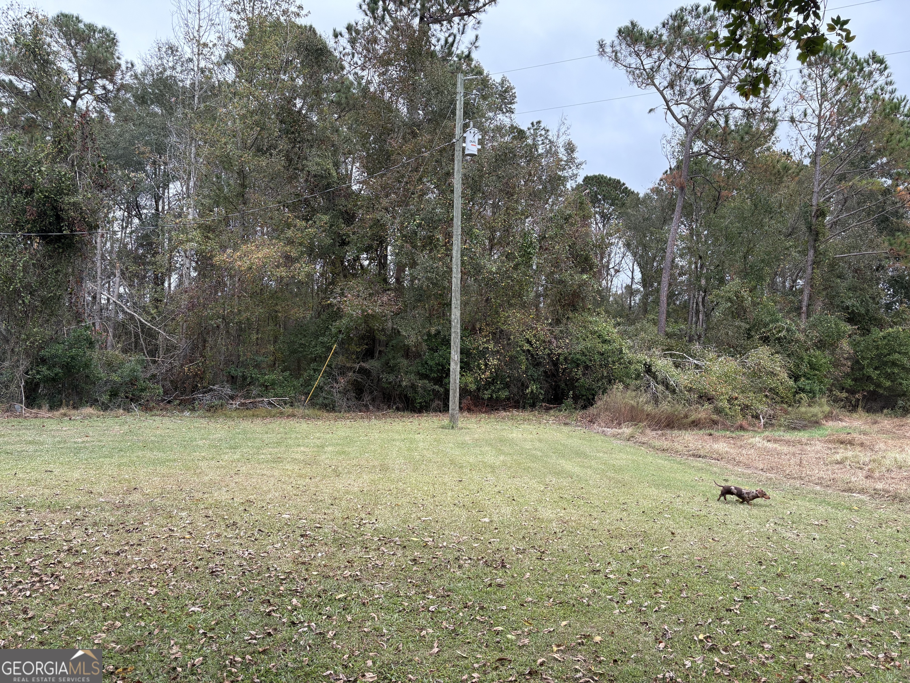 1533 West River Road Rhine, GA 31077 - Photo 37 of 39