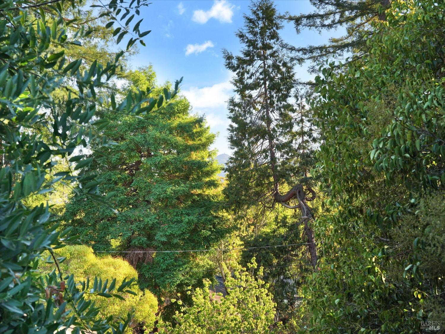 299 Butterfield Road San Anselmo, CA 94960 - Photo 40 of 42
