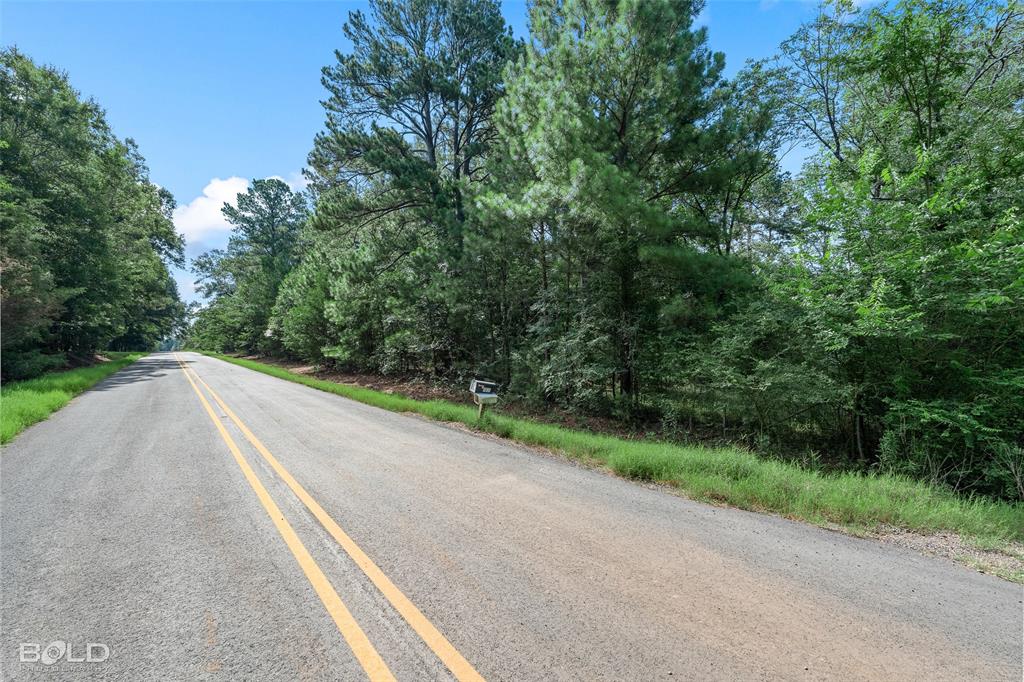 11015 Hereford Road Mooringsport, LA 71060 - Photo 5 of 18 Paved road frontage with double yellow center lines, bordered by dense mature trees and natural vegetation