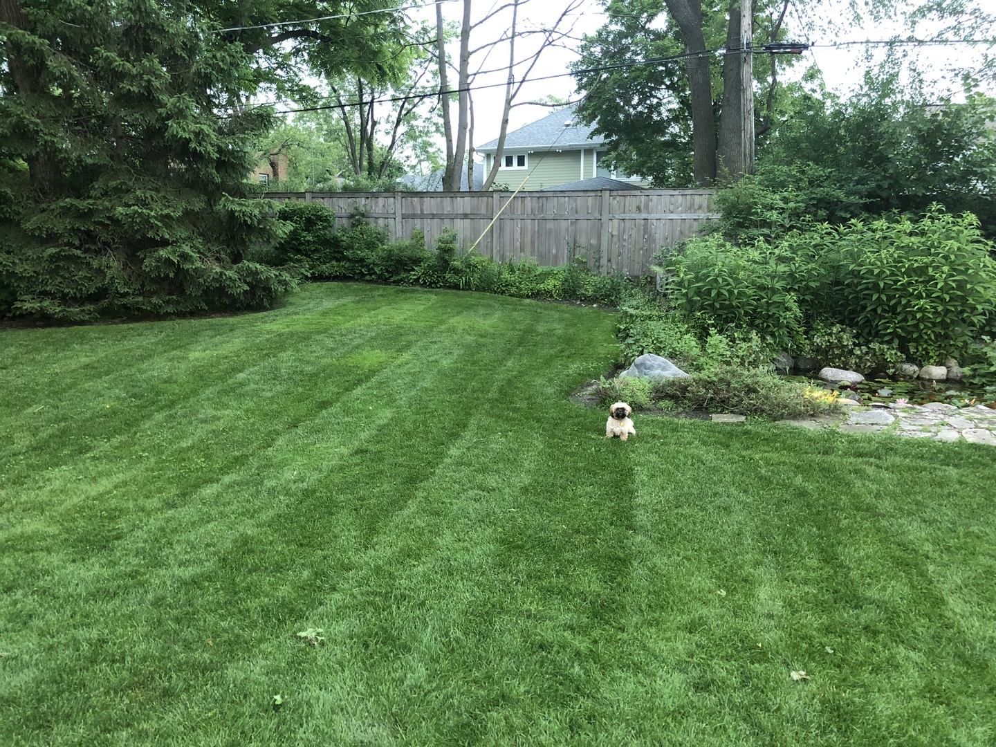 617 Hillside Road Glenview, IL 60025 - Photo 42 of 46 a backyard of a house with lots of green space