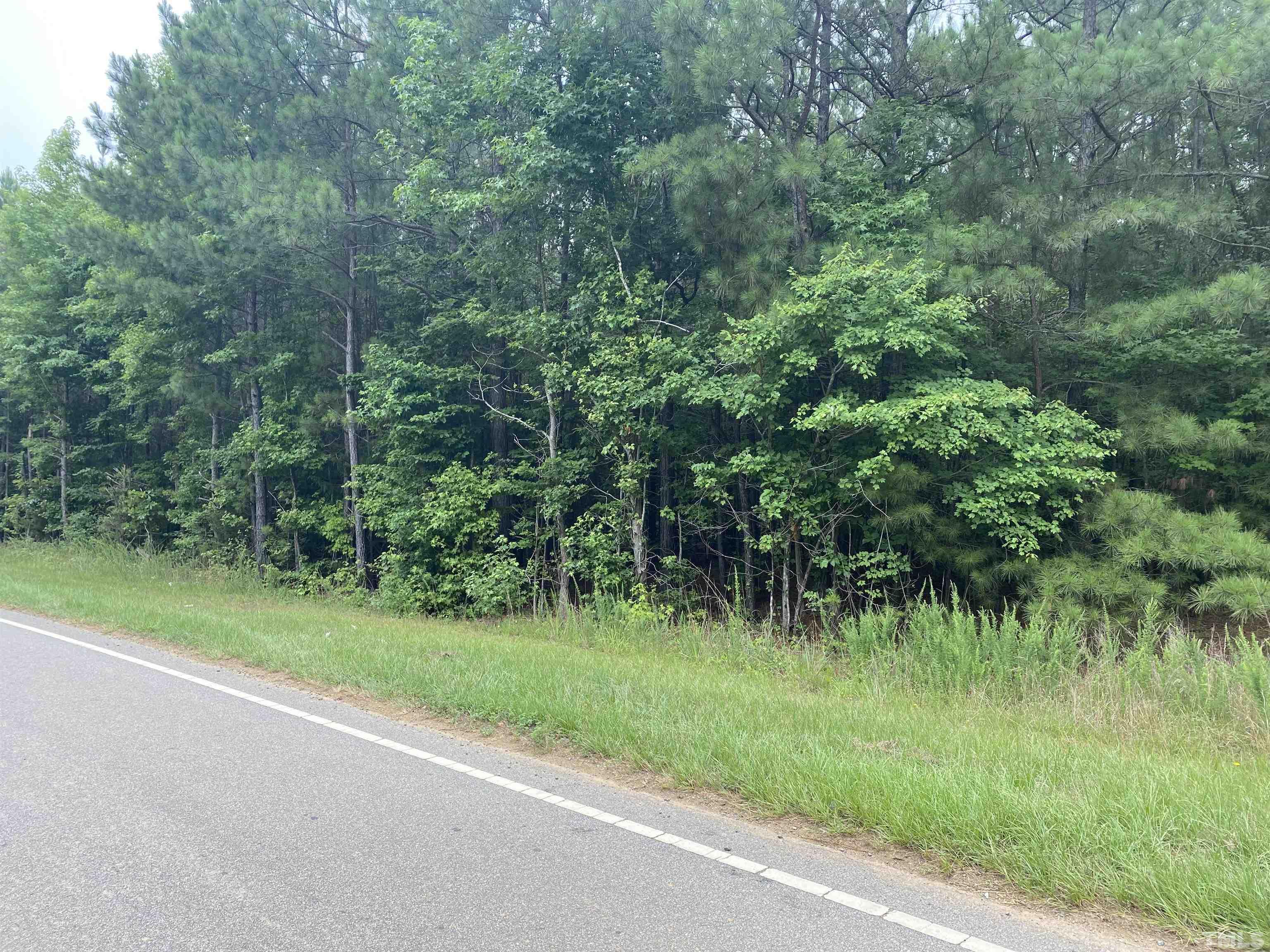 0 Sterl Carrington Road Oxford, NC 27565 - Photo 2 of 8 a view of a lush green forest