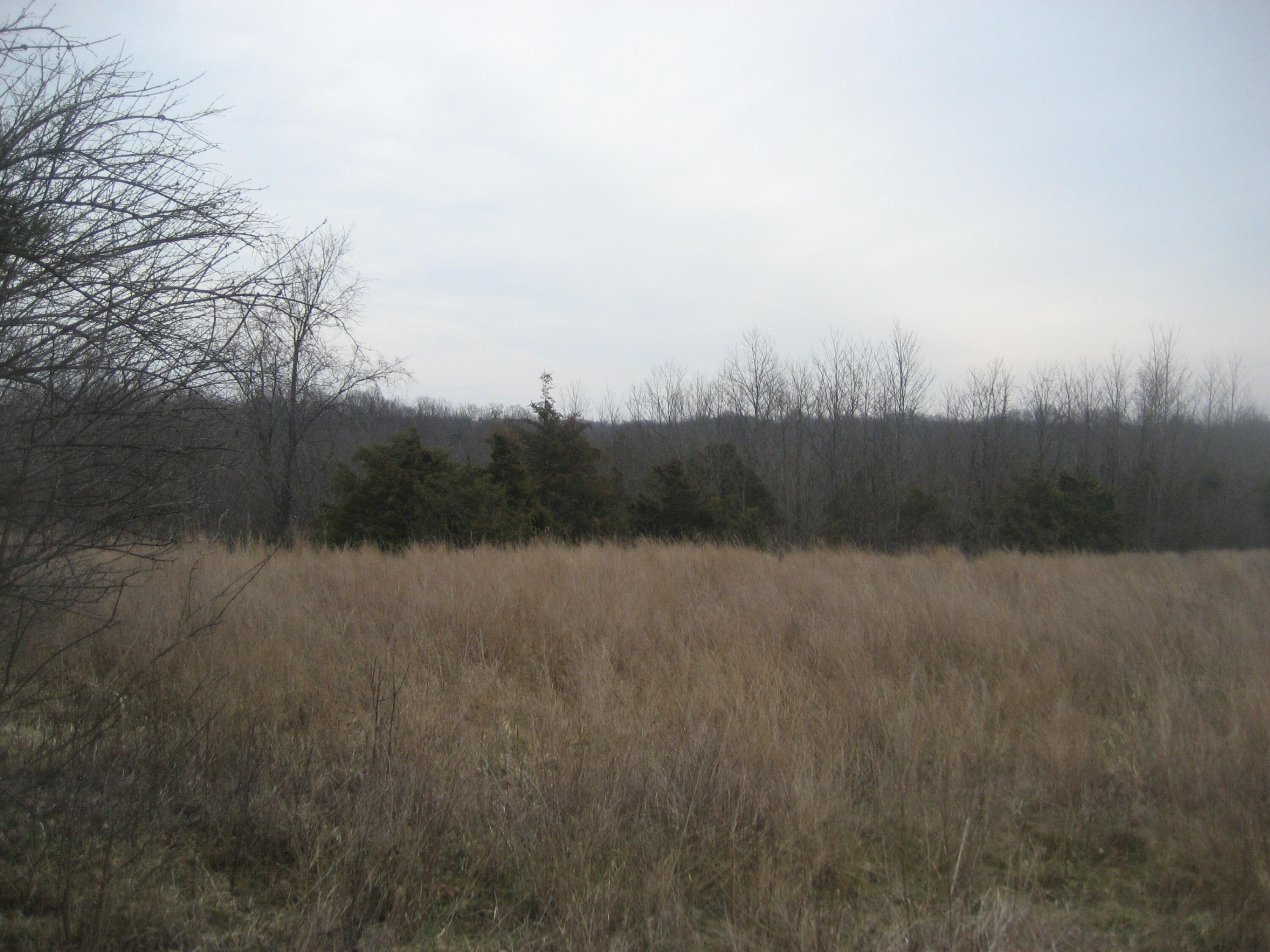 1235 Rutherford School Road Lawrenceburg, KY 40342 - Photo 3 of 31 IMG_1342
