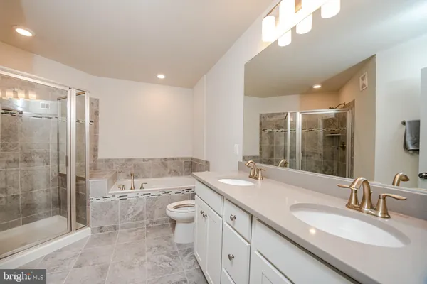 a bathroom with a double vanity sink mirror double shower and a bathtub