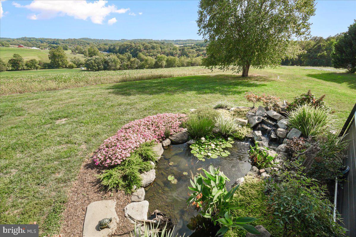 5131 Woodville Road Mount Airy, MD 21771 - Photo 77 of 92 Rear - Exterior Koi Pond