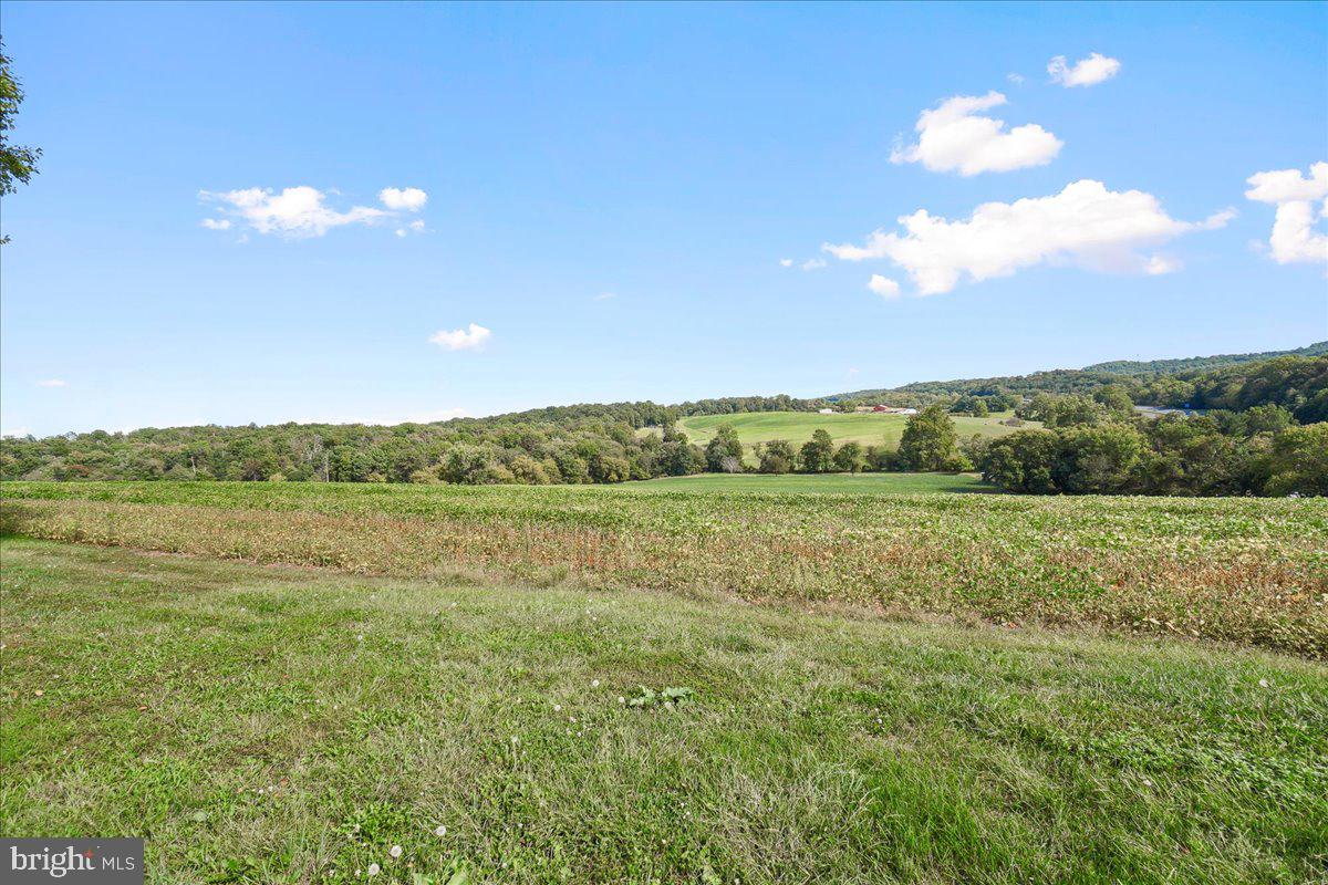 5131 Woodville Road Mount Airy, MD 21771 - Photo 91 of 92 Gallery Image 91