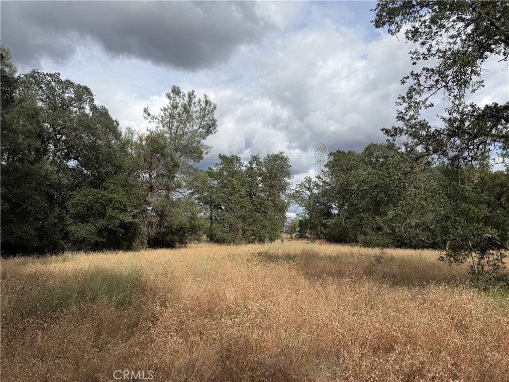 0 Ophir Road Oroville, CA 95966 - Photo 7 of 29 a view of mountain covered with trees