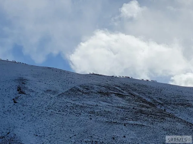 $475,000 | Tbd Hill Road, North Fork, ID 83466