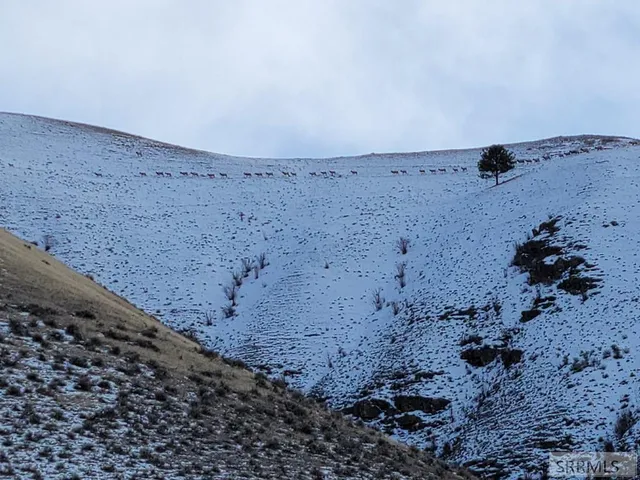 $475,000 | Tbd Hill Road, North Fork, ID 83466