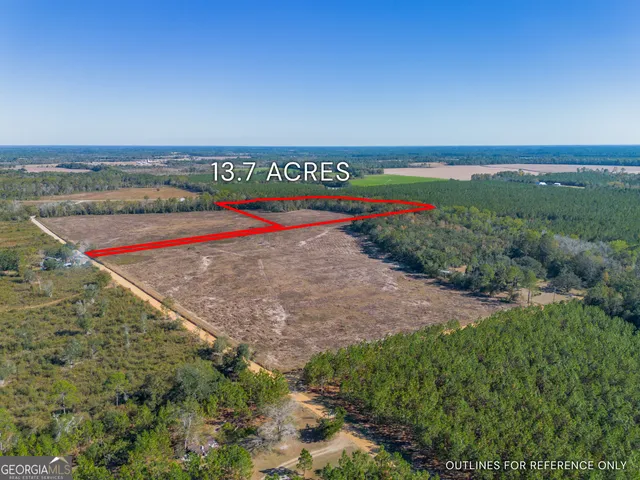 a view of a field with an ocean