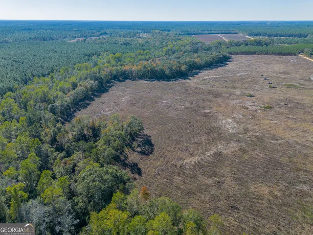a view of a dirt road with lush green forest