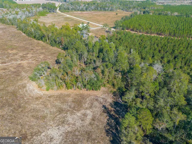 a view of a yard with a street