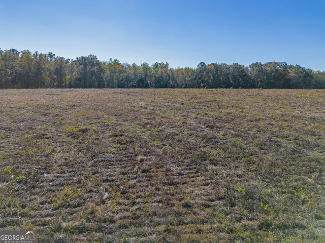 a view of a field with trees in the background