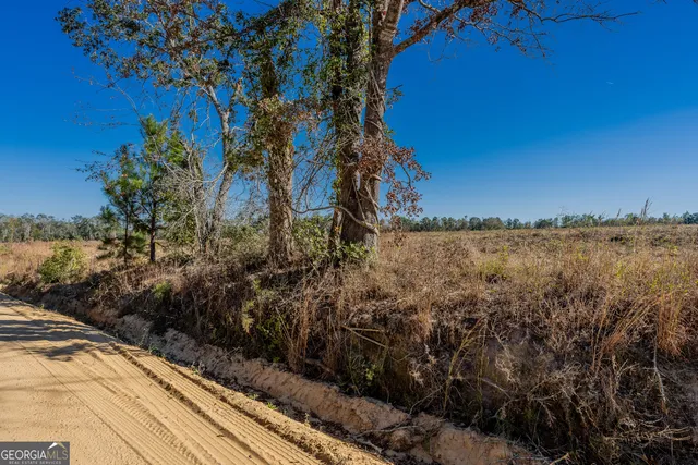 a view of a yard with wooden fence