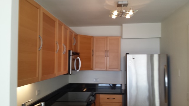 5415 North Sheridan Road, Unit 1715 Chicago, IL 60640 - Photo 6 of 24 a kitchen with refrigerator and cabinets