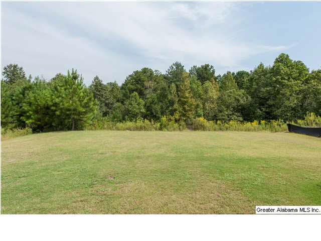 391 Appleford Road Helena, AL 35080 - Photo 31 of 32
