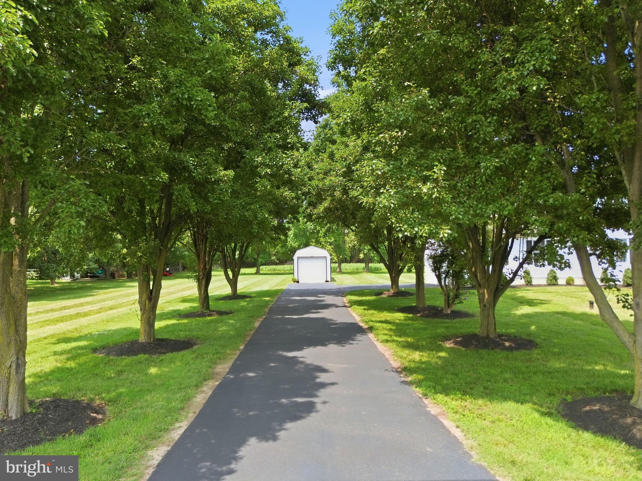 20665 Golden Thompson Road Avenue, MD 20609 - Photo 37 of 55 Paved Driveway lined with Ornamental Trees