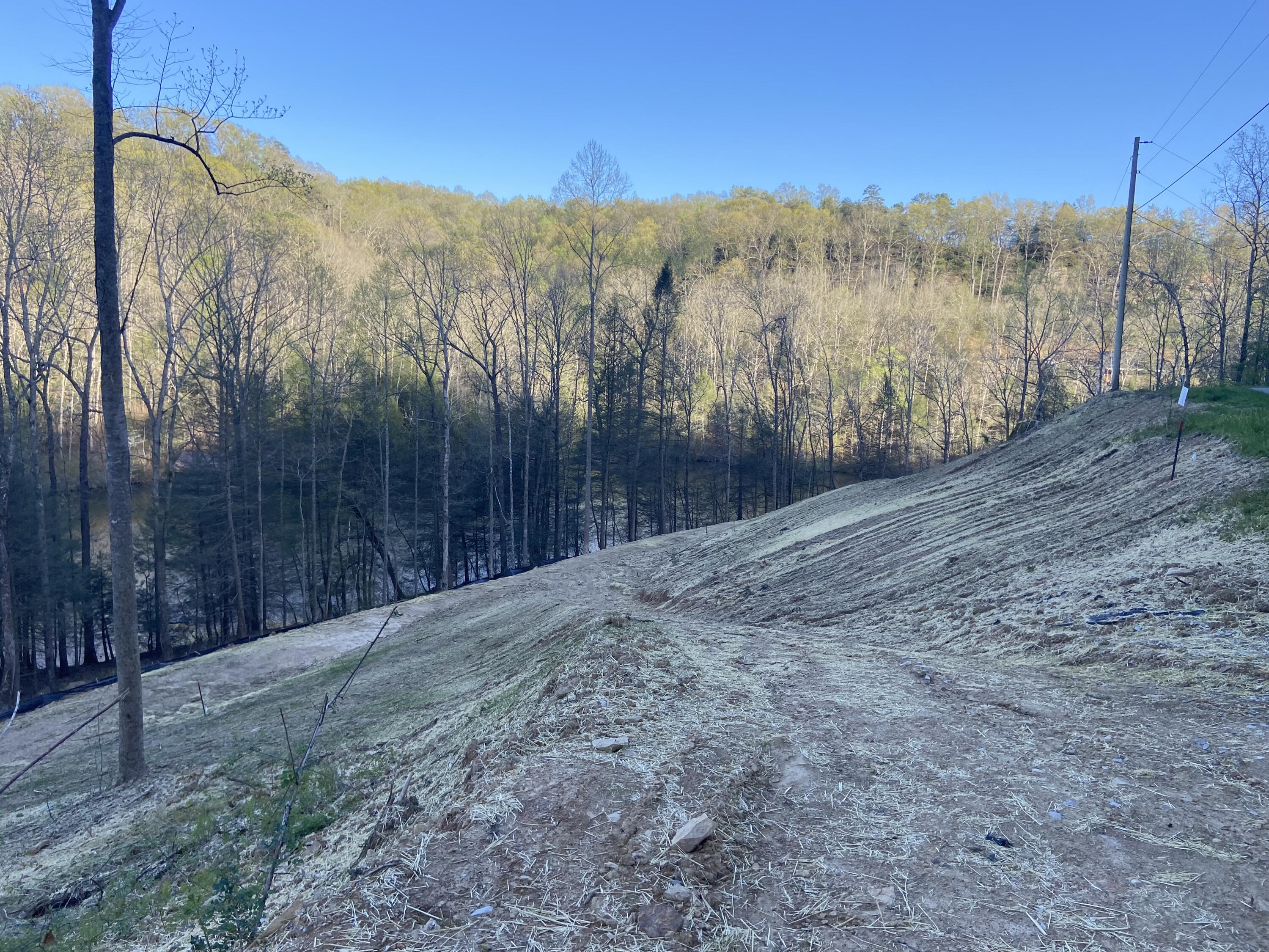 577 Cliffs Edge Road East Bernstadt, KY 40729 - Photo 3 of 11 IMG_4892