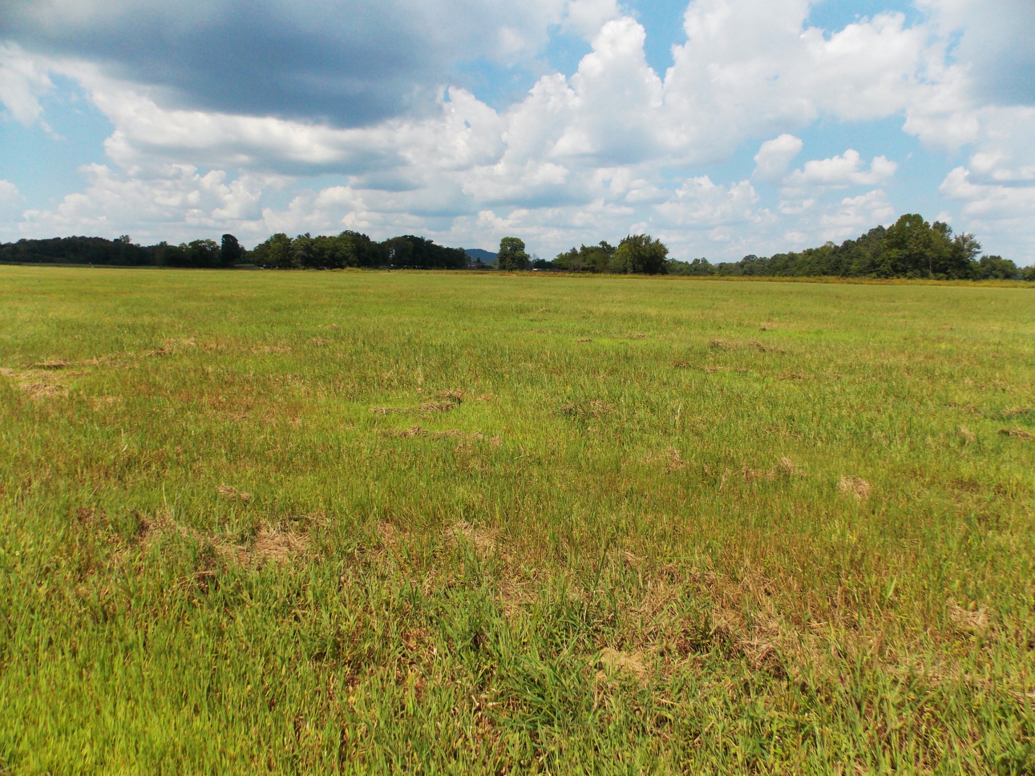 2100 Longview Road Bell Buckle, TN 37020 - Photo 2 of 8 a view of an ocean from a yard