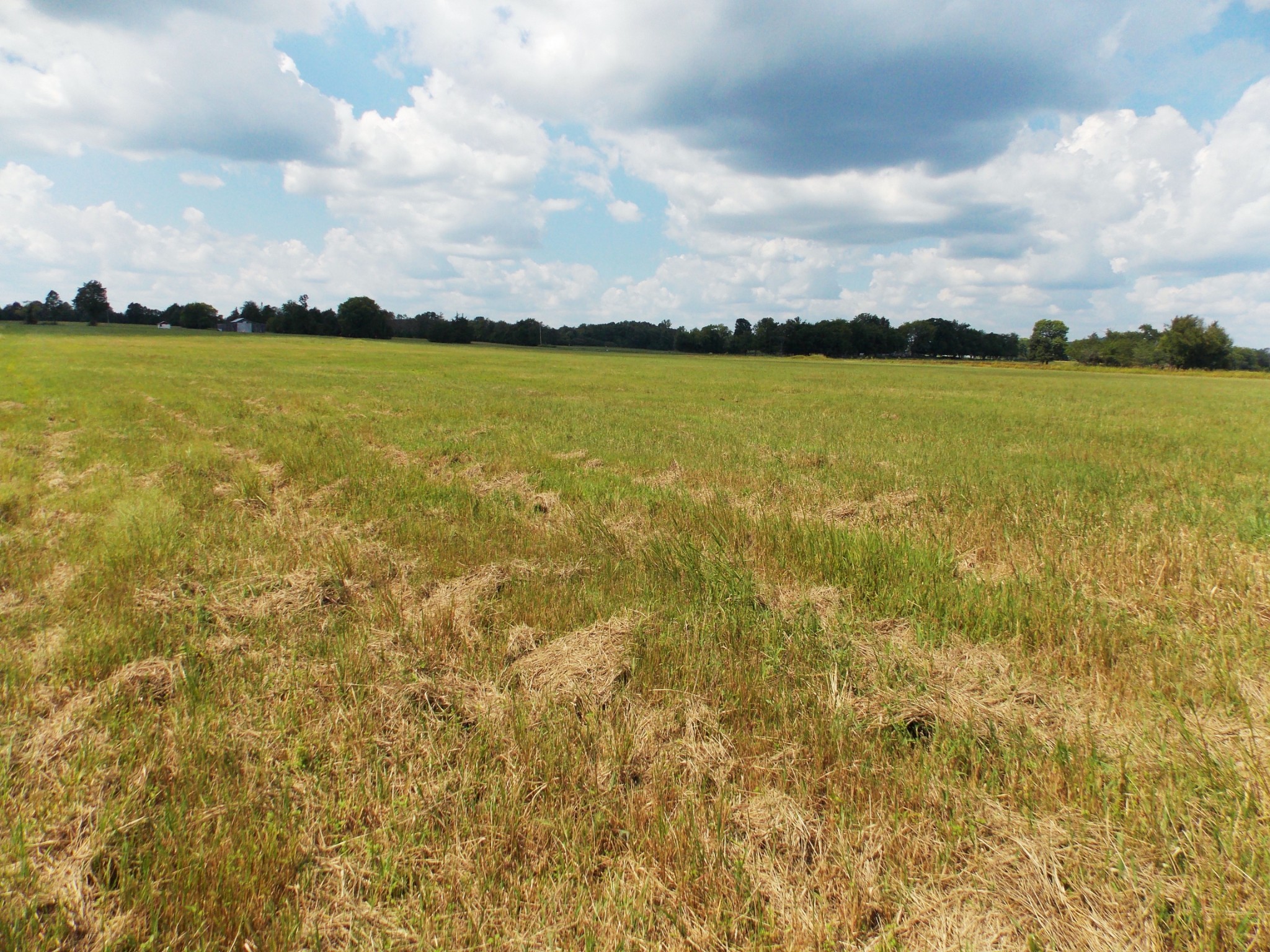 2100 Longview Road Bell Buckle, TN 37020 - Photo 3 of 8 a view of an ocean