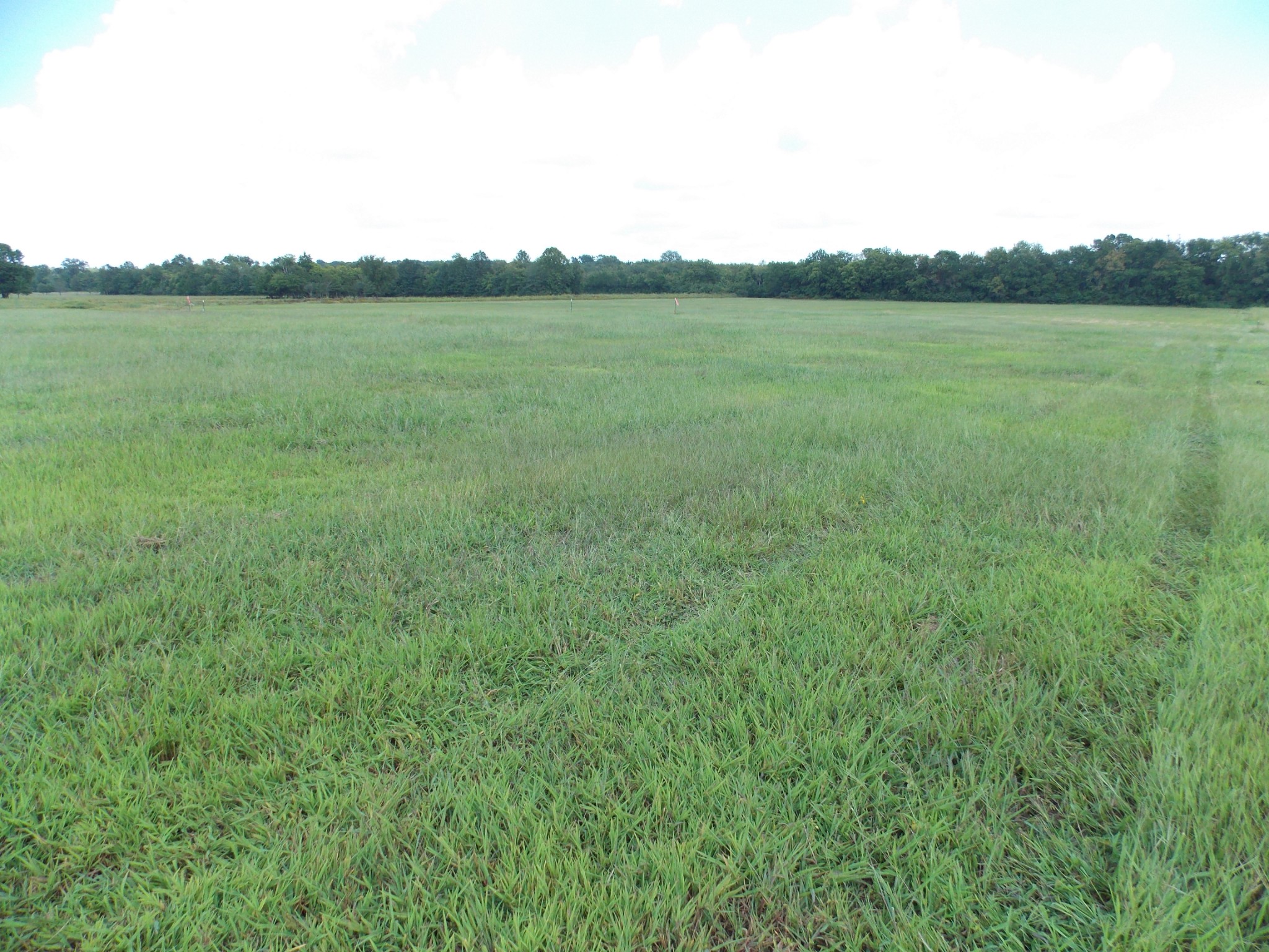 2100 Longview Road Bell Buckle, TN 37020 - Photo 5 of 8 a view of a lake from a yard