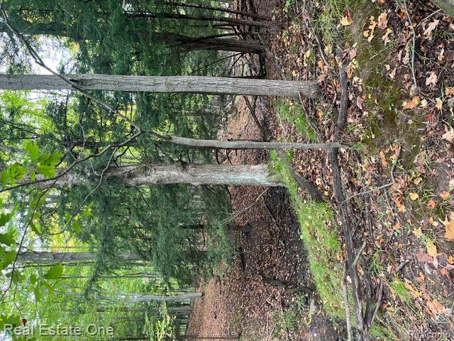 0 West Berry Road Sterling, MI 48659 - Photo 25 of 33