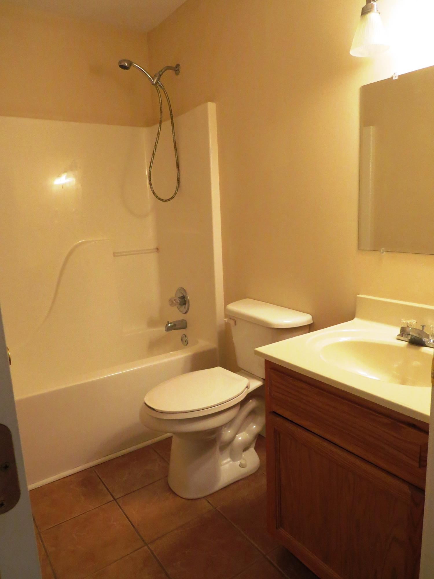155 West Mountain View Road Corryton, TN 37721 - Photo 17 of 29 Hall Bath