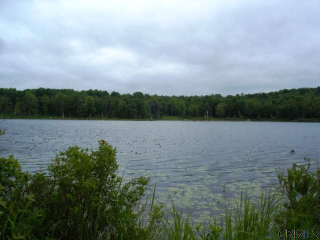 548 Rossman Valley Road Summit, NY 12149 - Photo 14 of 15 Photo 14