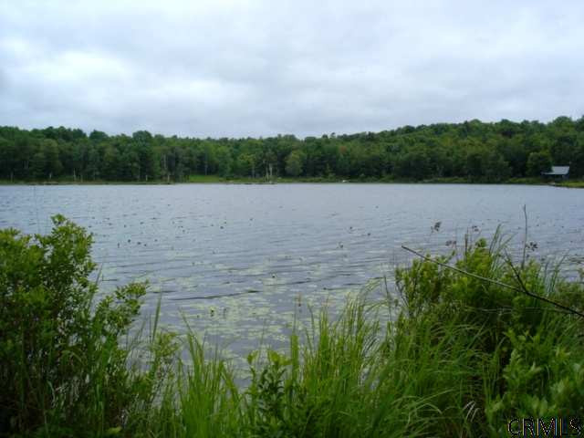548 Rossman Valley Road Summit, NY 12149 - Photo 9 of 15 Photo 9
