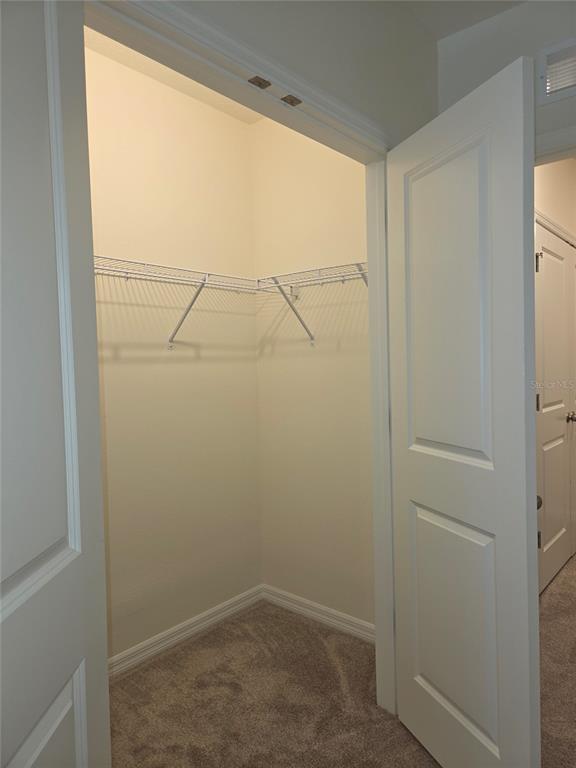 32181 Turtle Grace Loop Wesley Chapel, FL 33545 - Photo 34 of 37 Gallery Image 34
