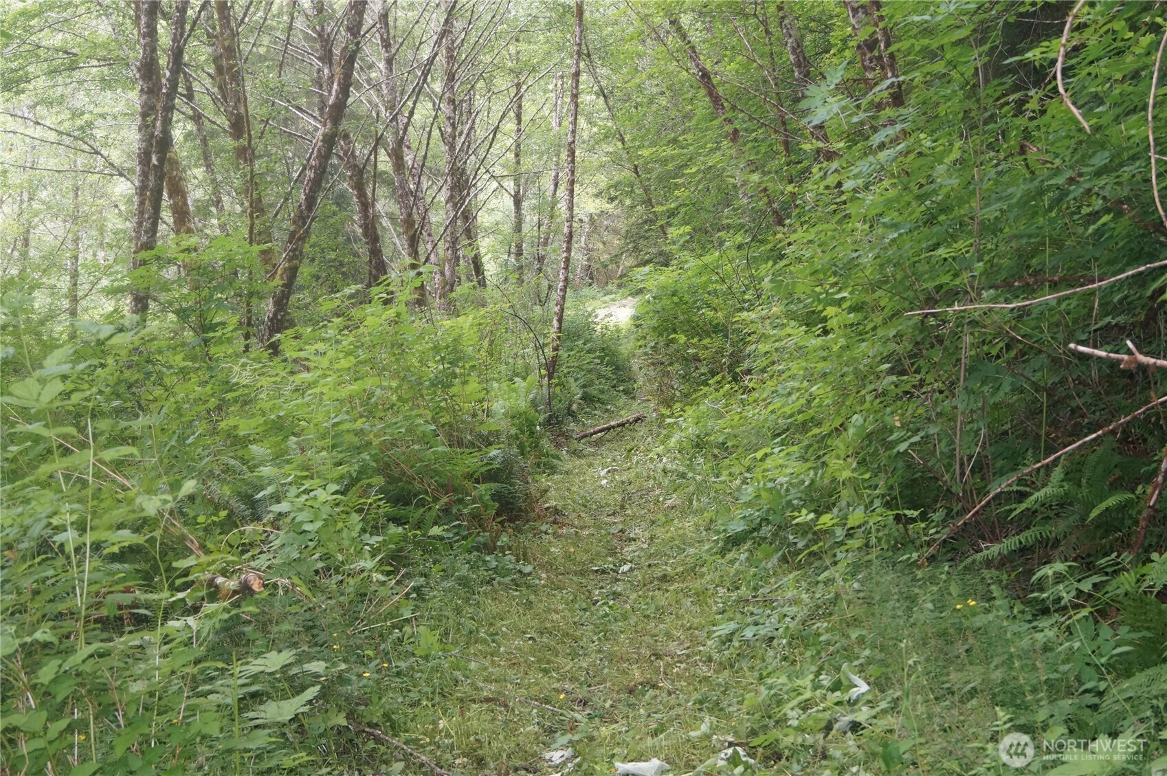 -off Of Panhandle Road Hoquiam, WA 98550 - Photo 4 of 13 Gallery Image 4