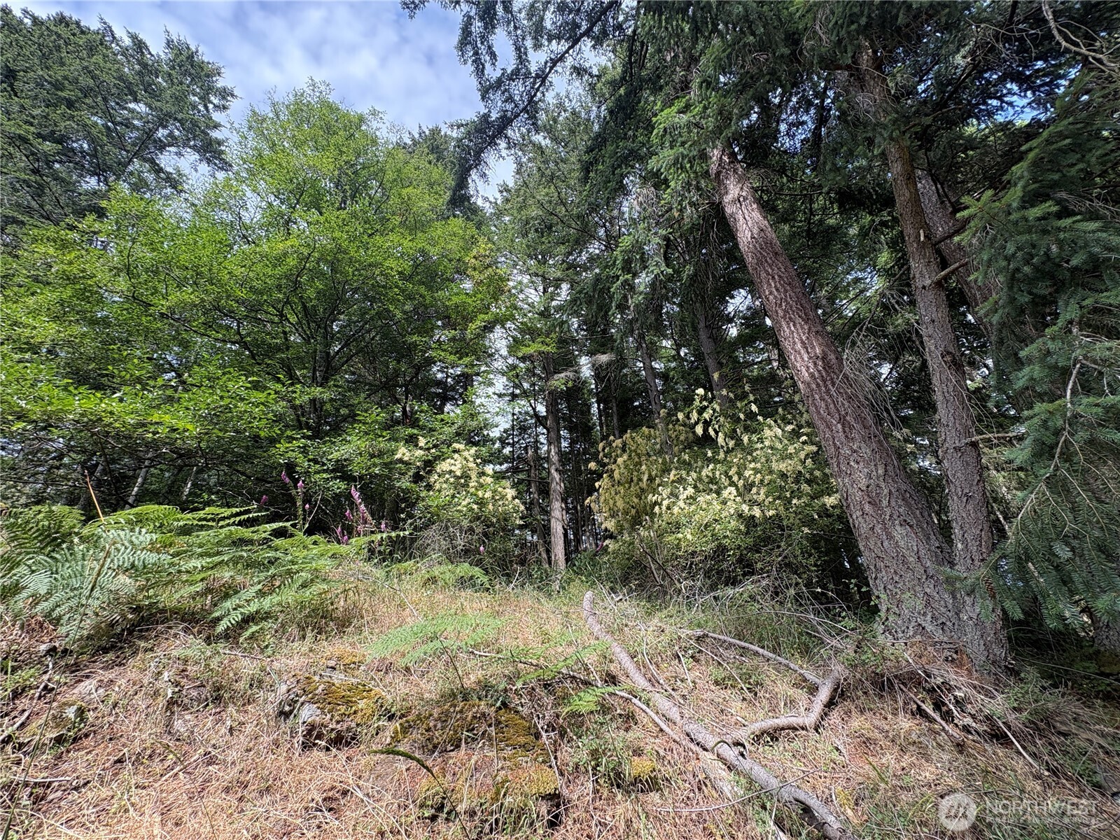 14 Rosario Road Orcas Island, WA 98245 - Photo 14 of 39
