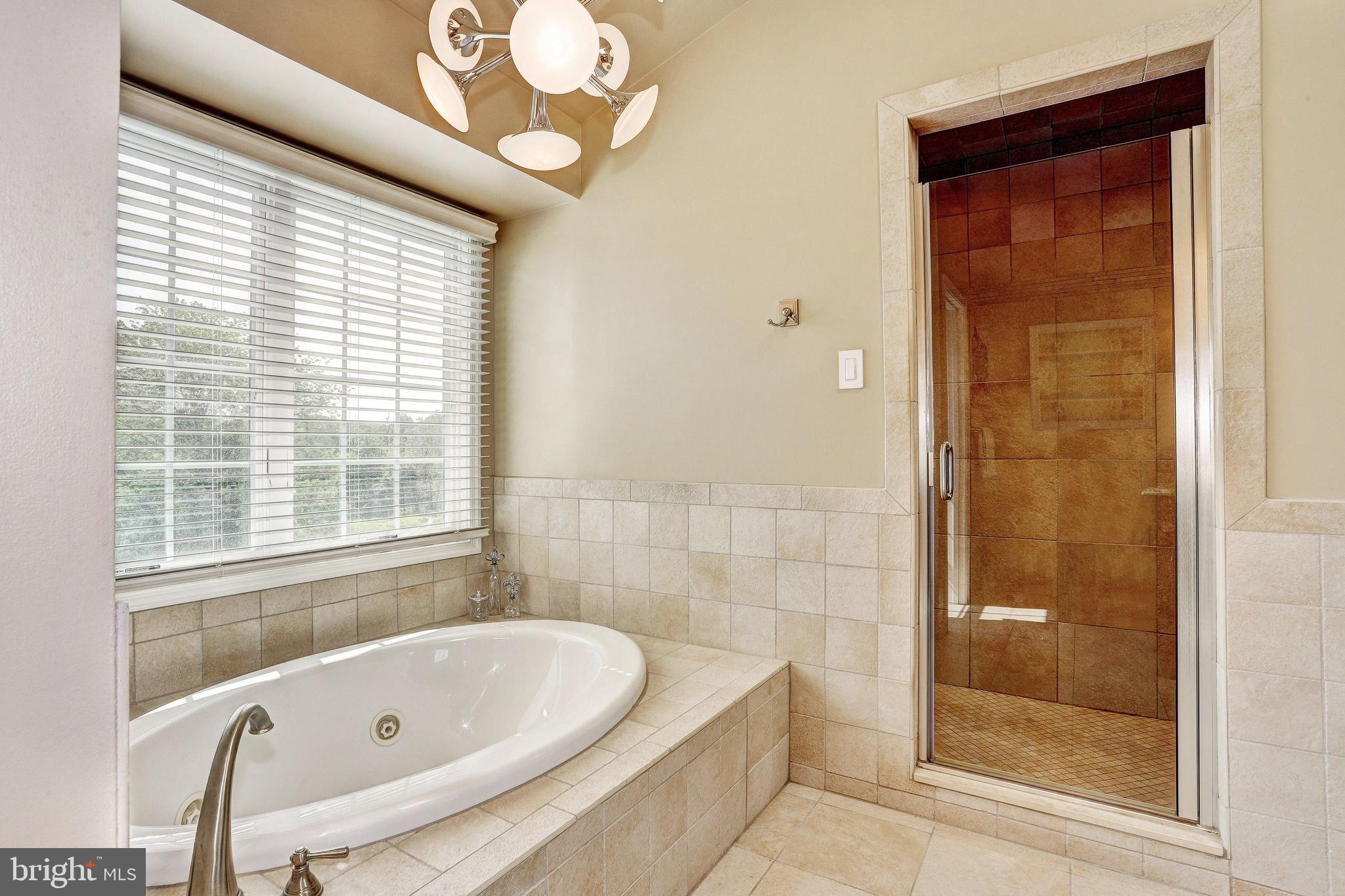 13860 Rover Mill Road West Friendship, MD 21794 - Photo 22 of 45 Master Bath
