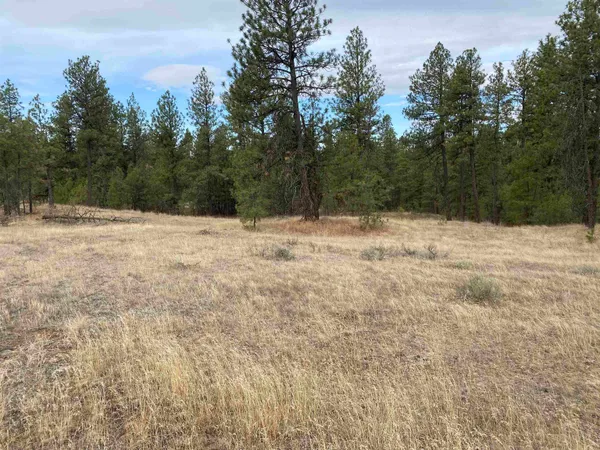 $99,000 | Tbd Tbd Lorna Lane, Unit LOT I, Cheney, WA 99004