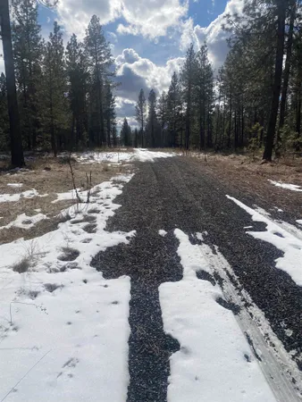 $99,000 | Tbd Tbd Lorna Lane, Unit LOT I, Cheney, WA 99004