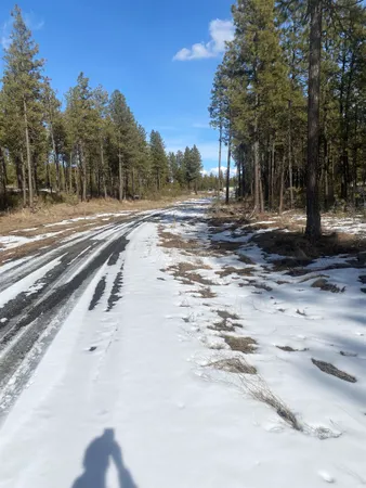$99,000 | Tbd Tbd Lorna Lane, Unit LOT I, Cheney, WA 99004