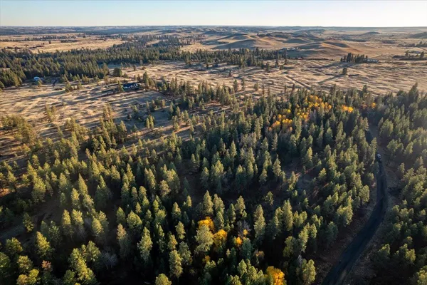 $99,000 | Tbd Tbd Lorna Lane, Unit LOT I, Cheney, WA 99004