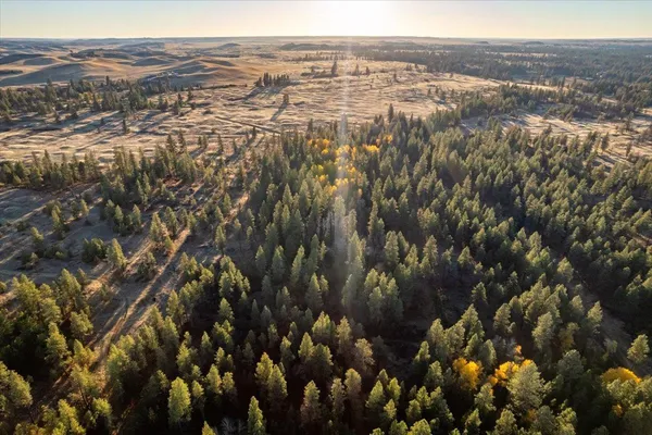 $99,000 | Tbd Tbd Lorna Lane, Unit LOT I, Cheney, WA 99004