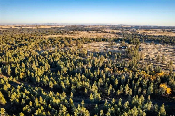 $99,000 | Tbd Tbd Lorna Lane, Unit LOT I, Cheney, WA 99004