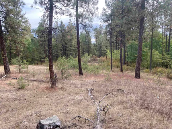 $99,000 | Tbd Tbd Lorna Lane, Unit LOT I, Cheney, WA 99004