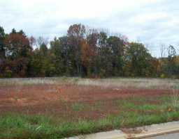 Newbridge Road Louisville, KY 40291 - Photo 1 of 1 Primary Photo