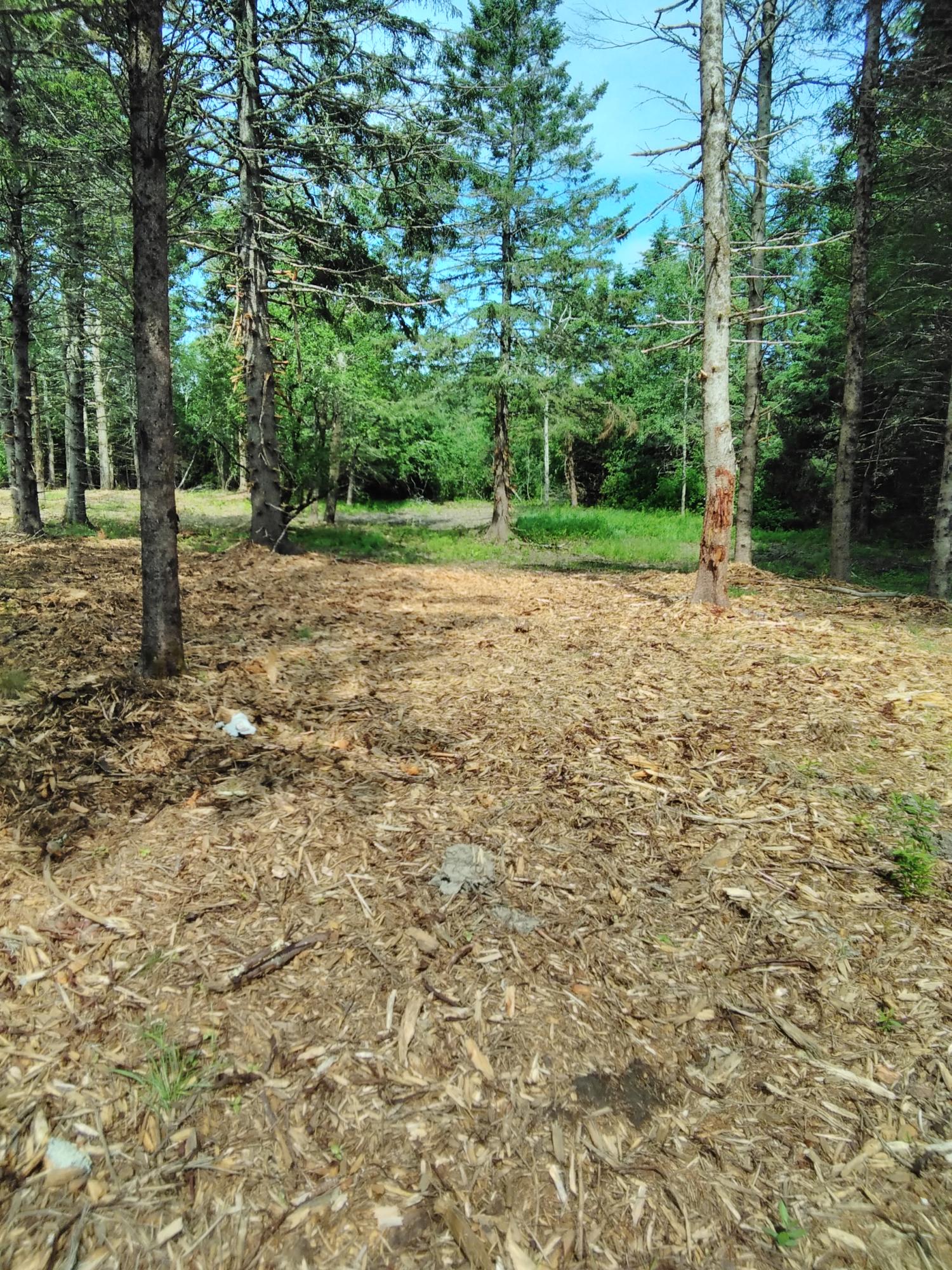 140 Needle's Eye Road Lamoine, ME 04605 - Photo 15 of 30 IMG_20200707_100528