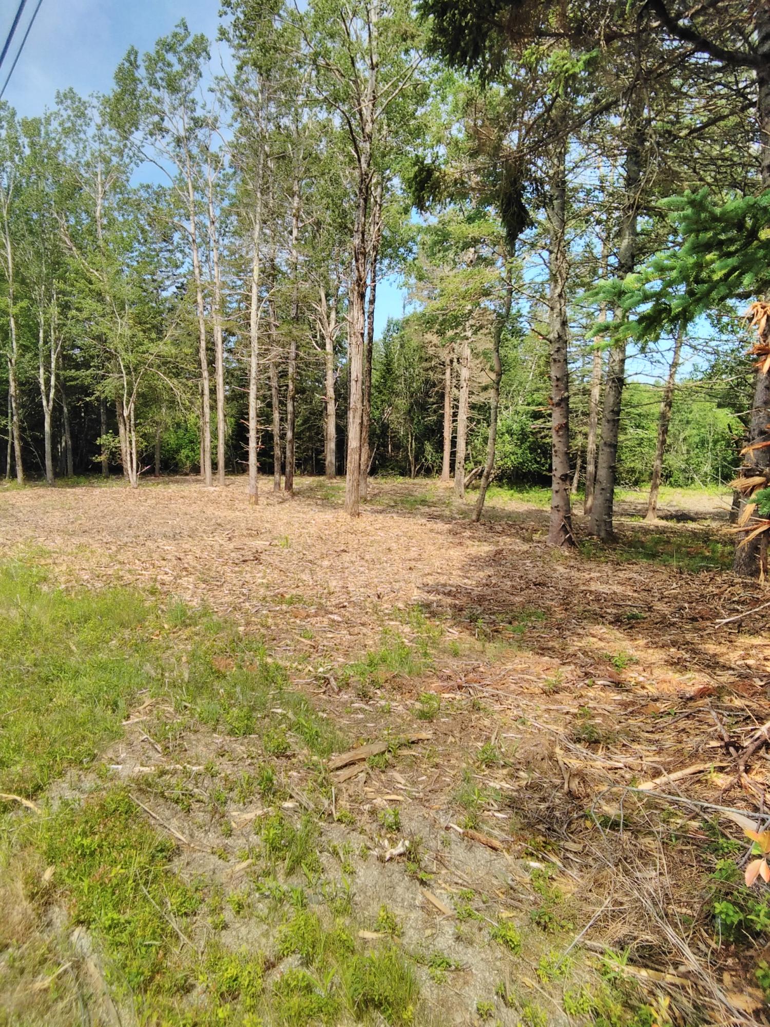 140 Needle's Eye Road Lamoine, ME 04605 - Photo 17 of 30 IMG_20200707_100906