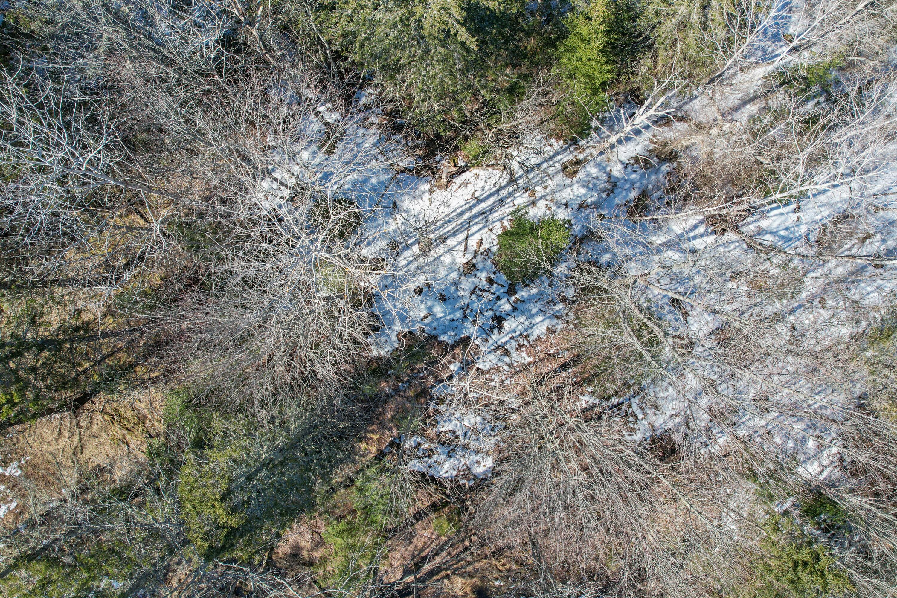 140 Needle's Eye Road Lamoine, ME 04605 - Photo 29 of 30 DJI_0855