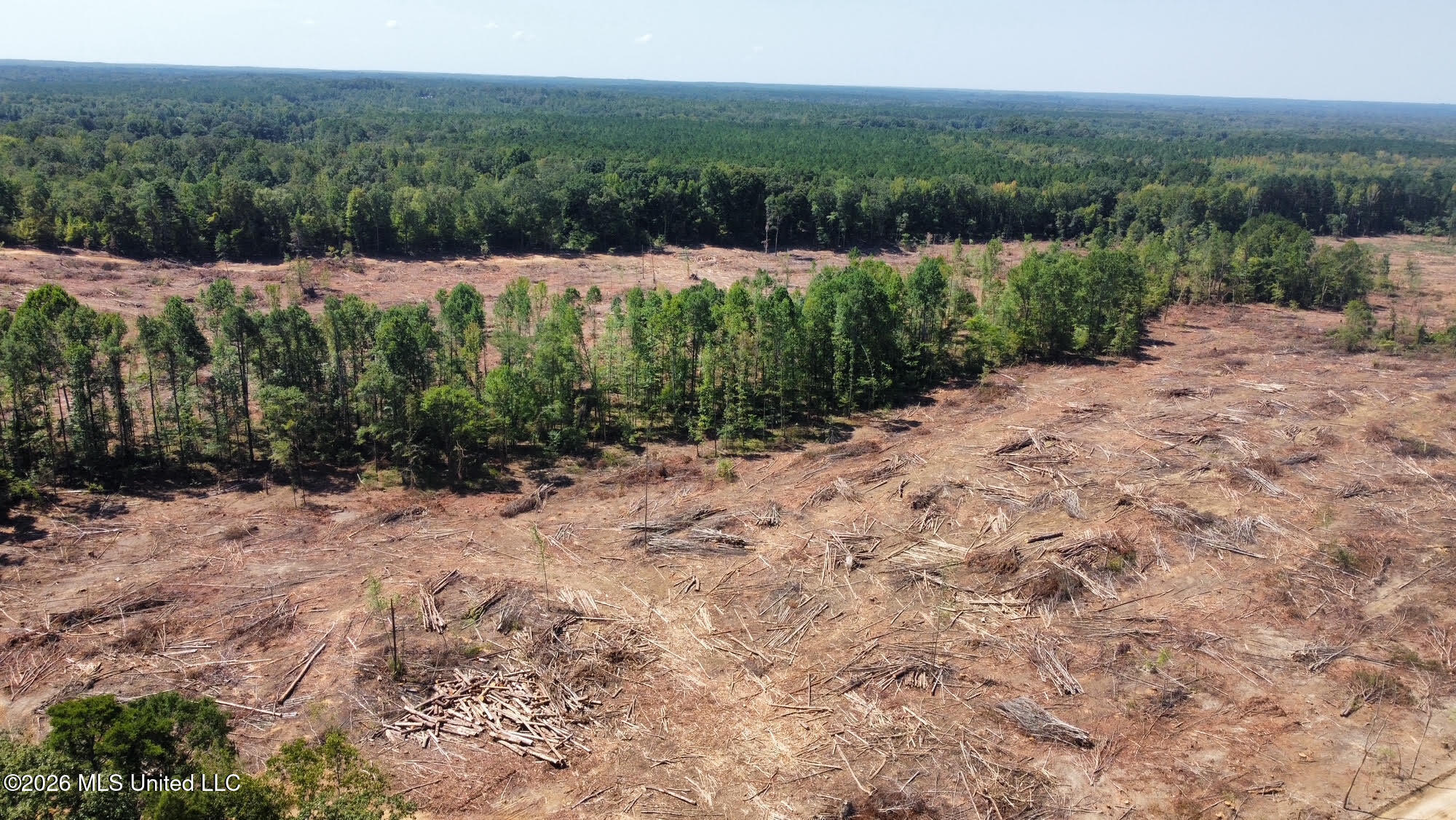 6 Cut Off Road Carthage, MS 39051 - Photo 24 of 29 208