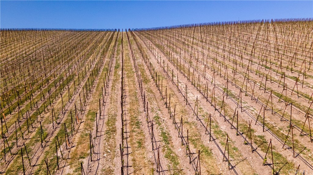 2380 Live Oak Road Paso Robles, CA 93446 - Photo 14 of 20 a view of wooden floor